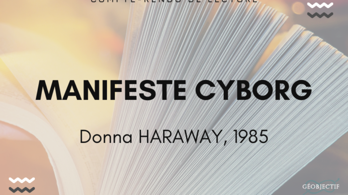 Interroger sa posture de recherche face au Manifeste cyborg de Donna Haraway
